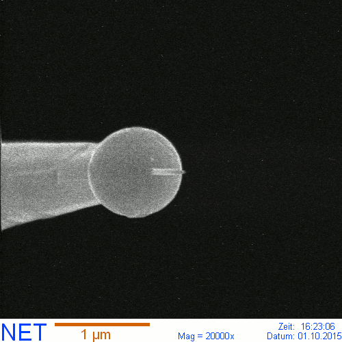 tungsten needle tip with EBID cold field emitter supertip on tungsten shpere, length of supertip 1 µm